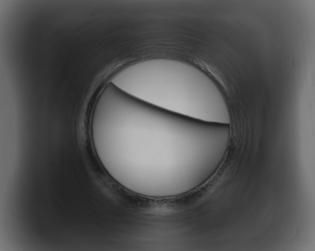 X0000100390682200806060834