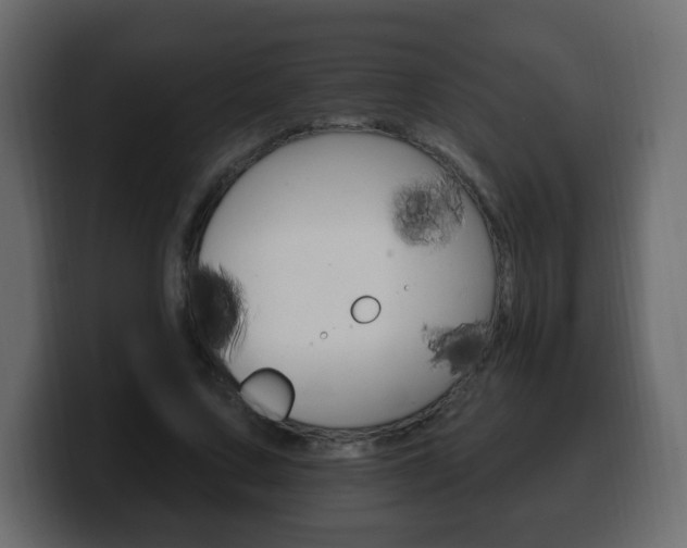 X0000100390683200806060834