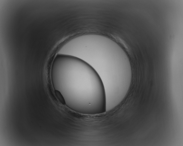 X0000100390684200806060834