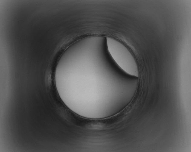 X0000100390685200806060834