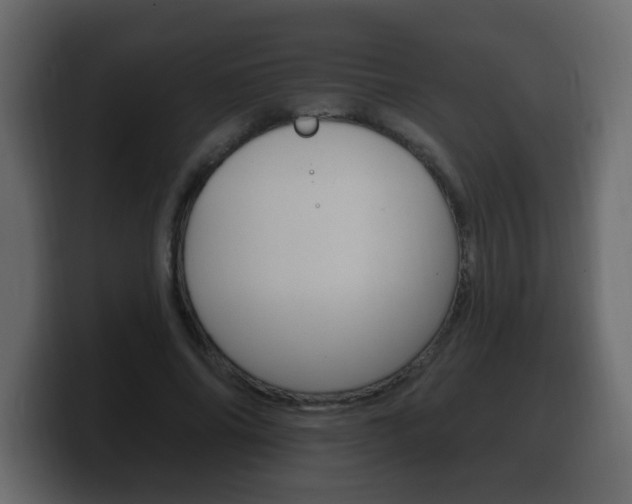 X0000100390686200806060834