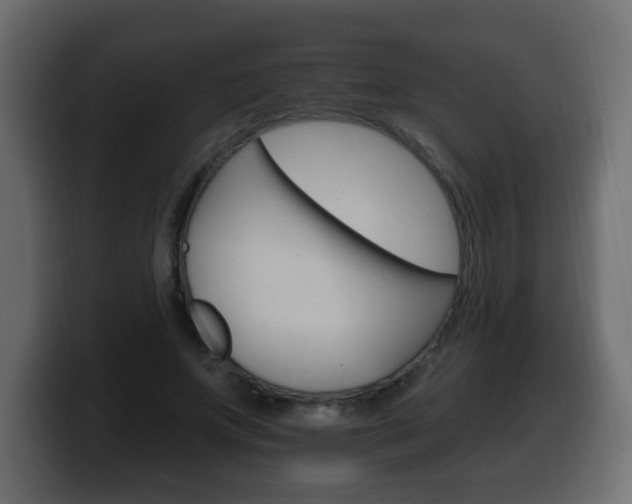 X0000100390687200806060834