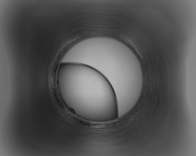 X0000100390688200806060834