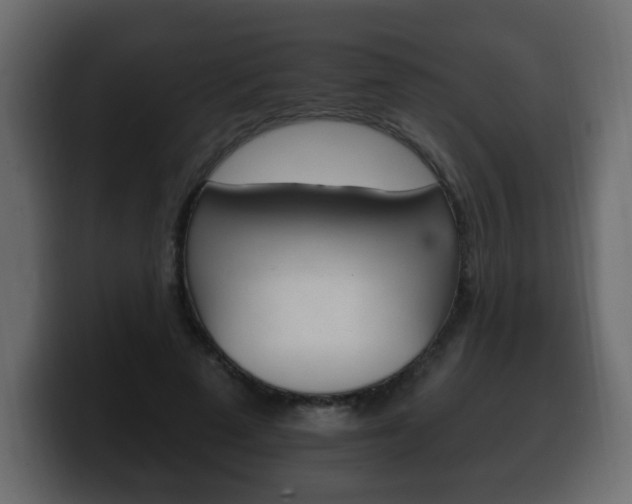 X0000100390689200806060834