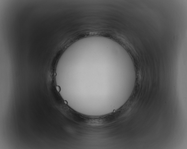 X0000100390691200806060834