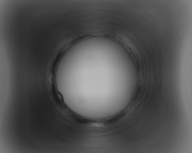 X0000100390692200806060834