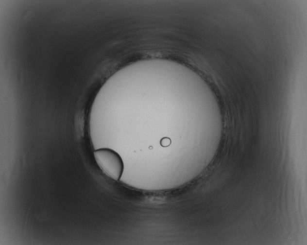 X0000100390694200806060834