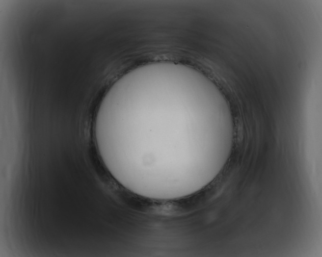 X0000100390695200806060834