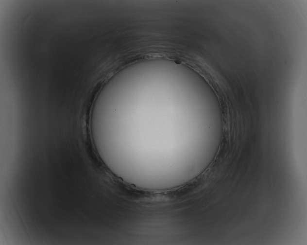 X0000100390696200806060834