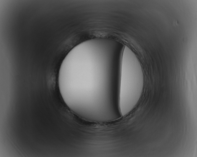 X0000100390697200806060834