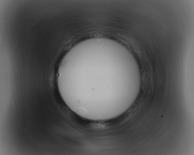 X0000100390698200806060834