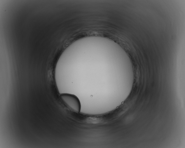 X0000100390699200806060834