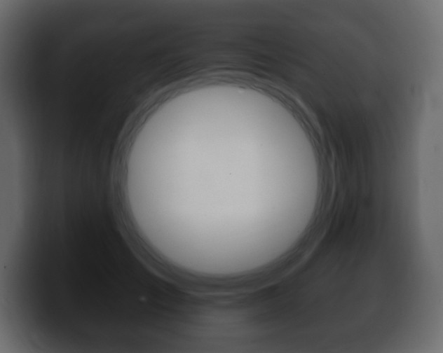 X0000100390701200806060834