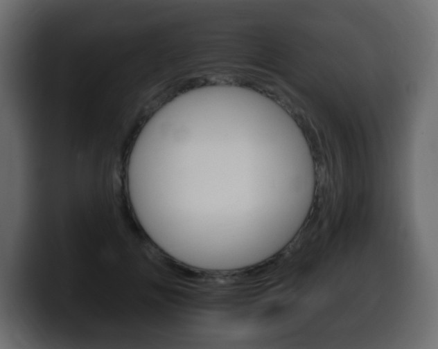X0000100390702200806060834