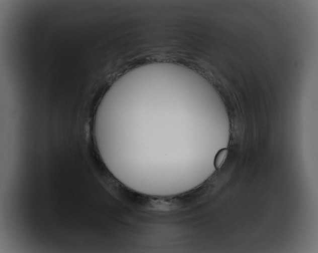 X0000100390703200806060834