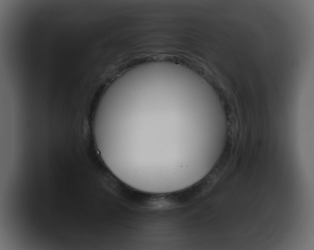 X0000100390704200806060834