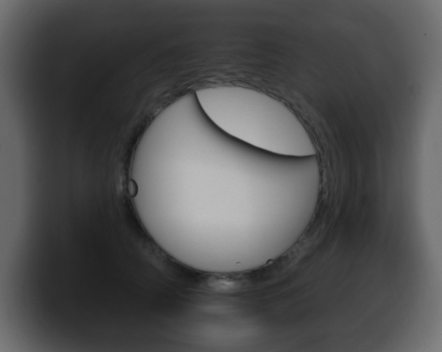 X0000100390706200806060834