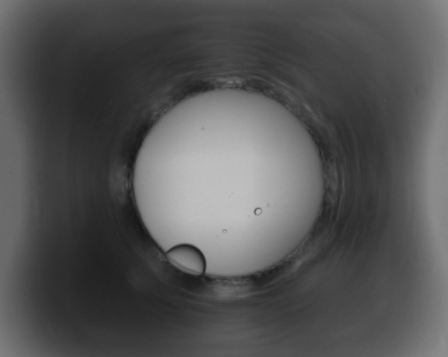 X0000100390707200806060834