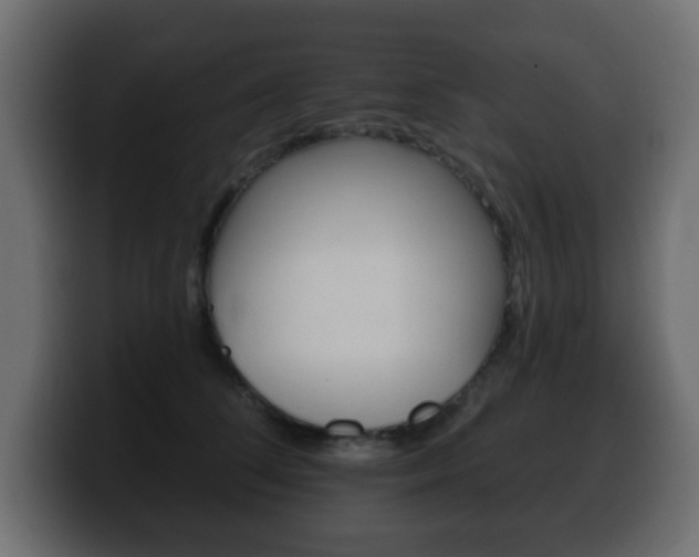 X0000100390708200806060834