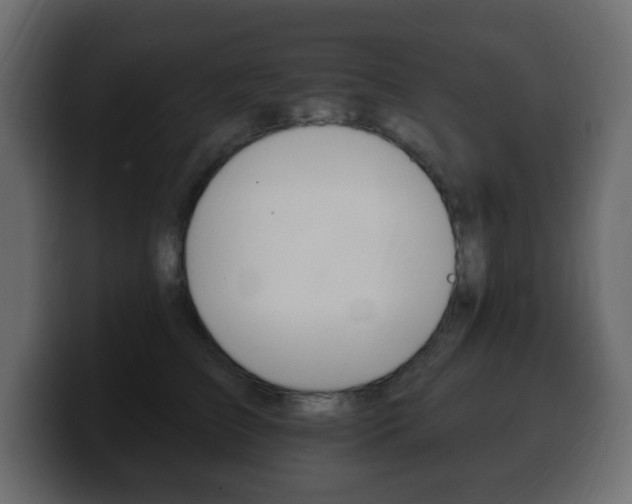 X0000100390709200806060834