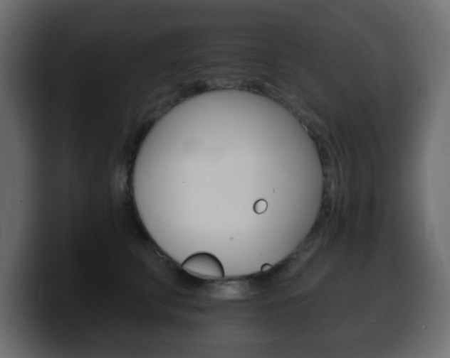 X0000100390711200806060834