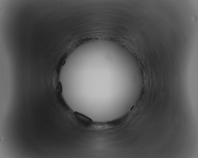 X0000100390712200806060834