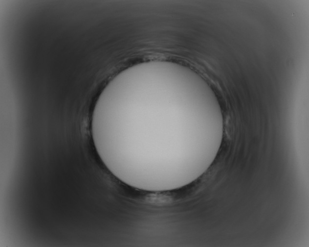 X0000100390714200806060833