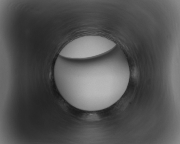X0000100390715200806060833