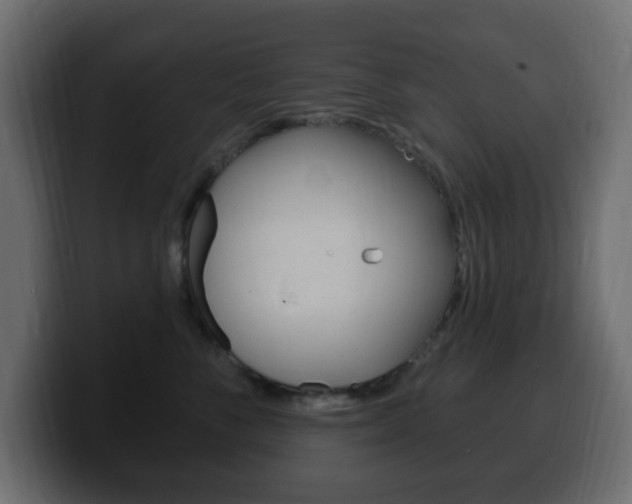 X0000100390716200806060833