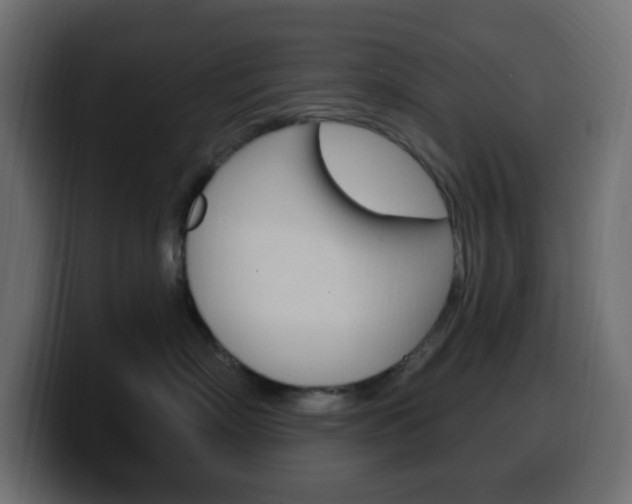 X0000100390718200806060833