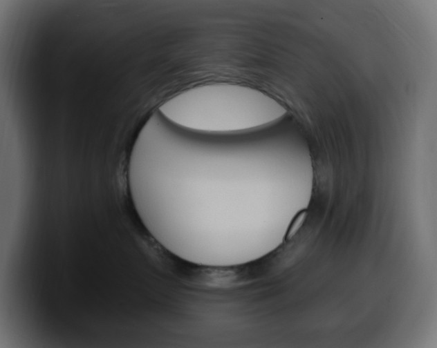X0000100390719200806060833