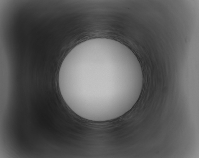 X0000100390720200806060833