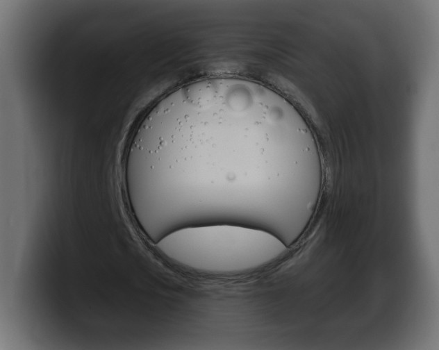 X0000100390721200806060833