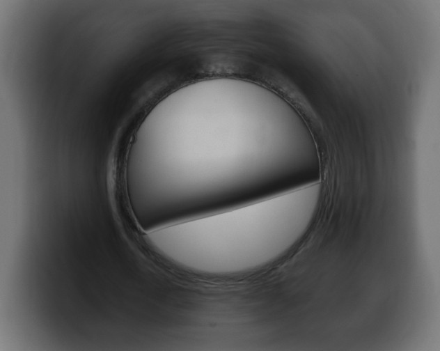 X0000100390722200806060833
