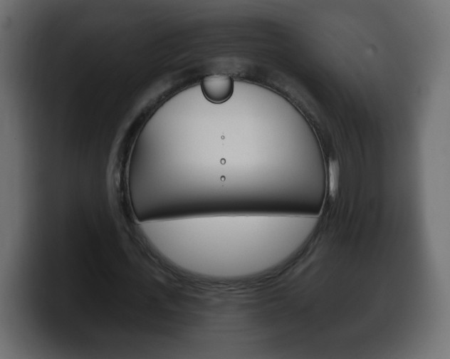 X0000100390723200806060833