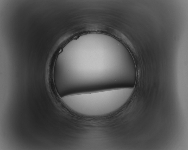 X0000100390724200806060833