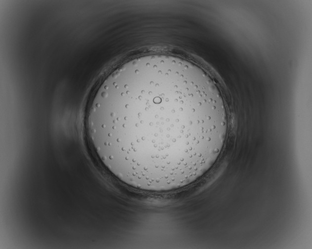 X0000100390725200806060833