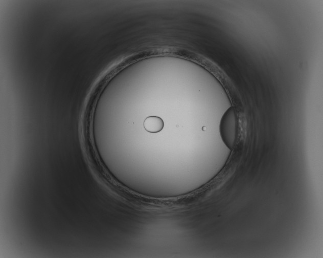 X0000100390726200806060833