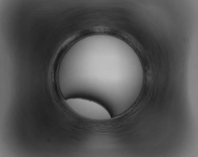 X0000100390727200806060833