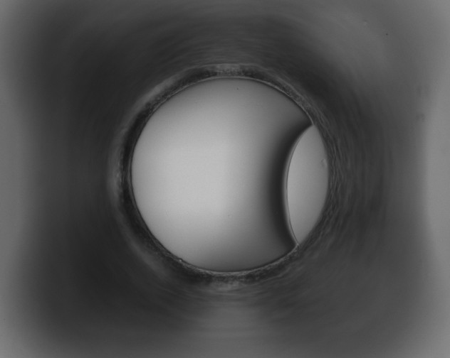 X0000100390728200806060833