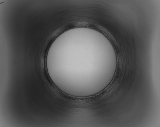 X0000100390729200806060833