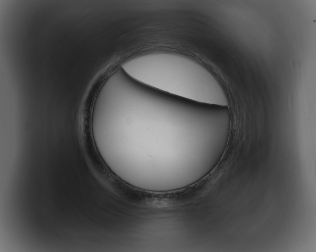 X0000100390730200806060833