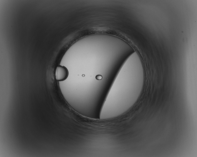 X0000100390731200806060833