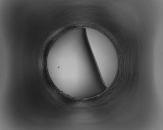 X0000100390732200806060833