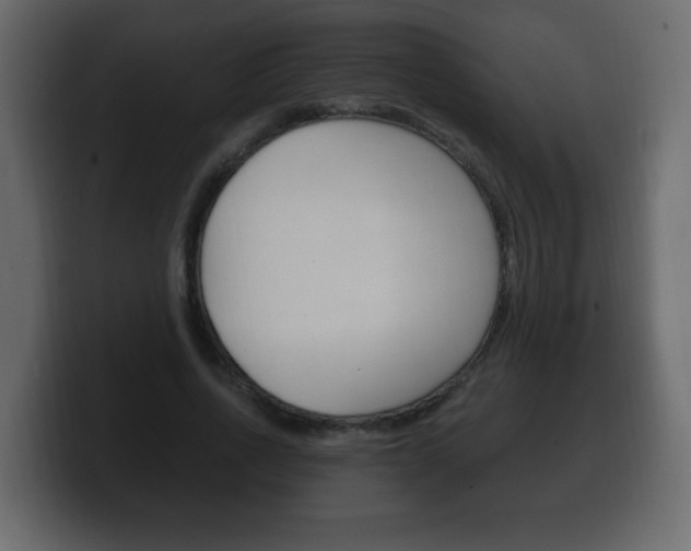 X0000100390734200806060833