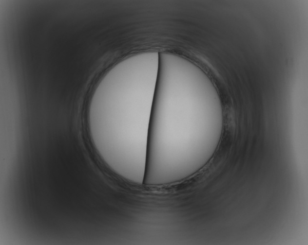 X0000100390738200806060833