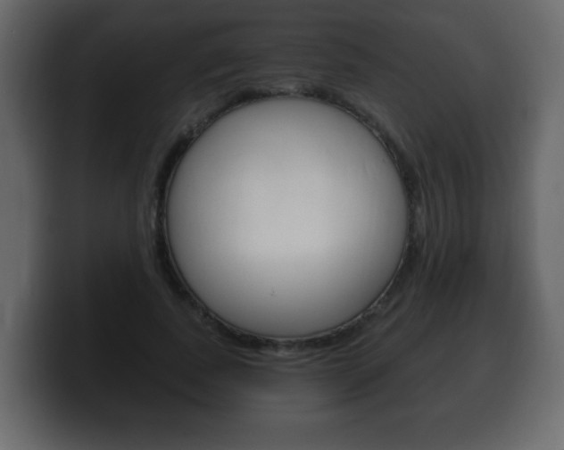 X0000100390739200806060833