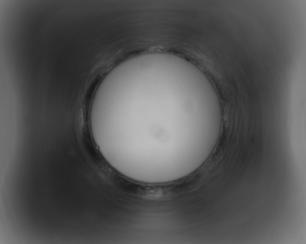 X0000100390740200806060833