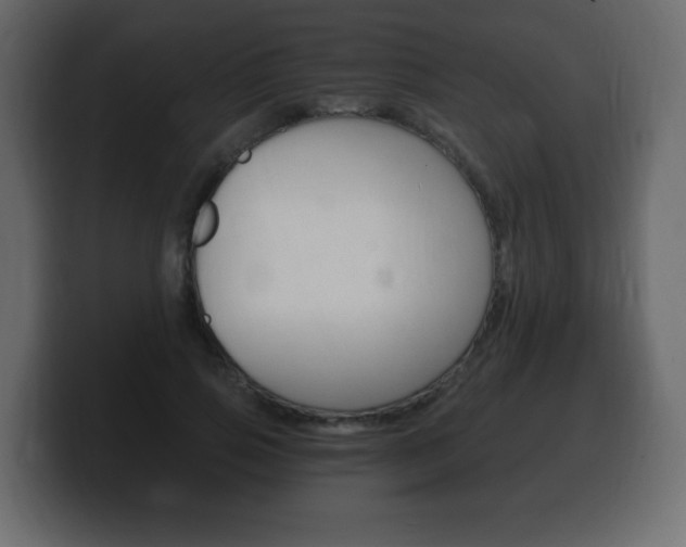 X0000100390741200806060833
