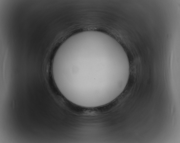 X0000100390742200806060833